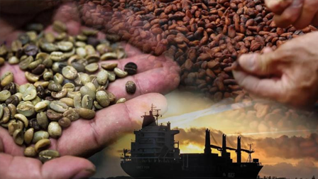 COMERCIALIZACIÓN Y MERCADOS DE CACAO Y CAFÉ