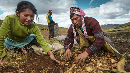 FORMULACIÓN DE PLAN DE NEGOCIOS EN EL MARCO DE AGROIDEAS
