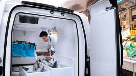 APLICACIÓN DE NORMA SANITARIA PARA EL TRANSPORTE DE ALIMENTOS