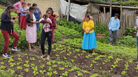 MANEJO DE BIOHUERTOS FAMILIARES