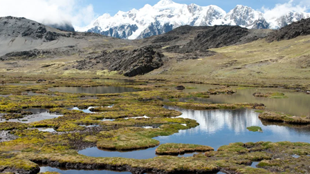 MANEJO DE DEGRADACIÓN DE BOFEDALES Y HUMEDALES 