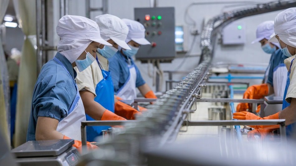 INTRODUCCIÓN A LA INOCUIDAD Y CALIDAD ALIMENTARIA