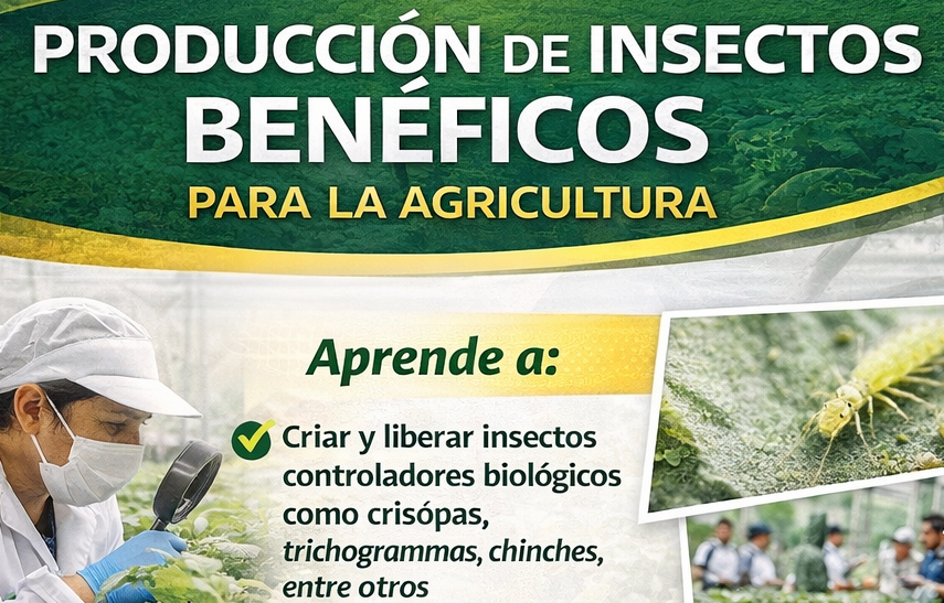PRODUCCIÓN DE INSECTOS BENÉFICOS PARA LA AGRICULTURA 