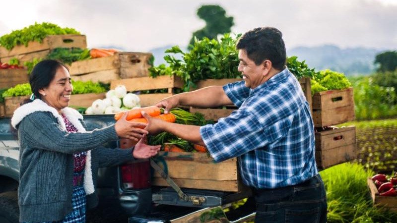 FORMALIZACIÓN DE EMPRENDIMIENTOS RURALES