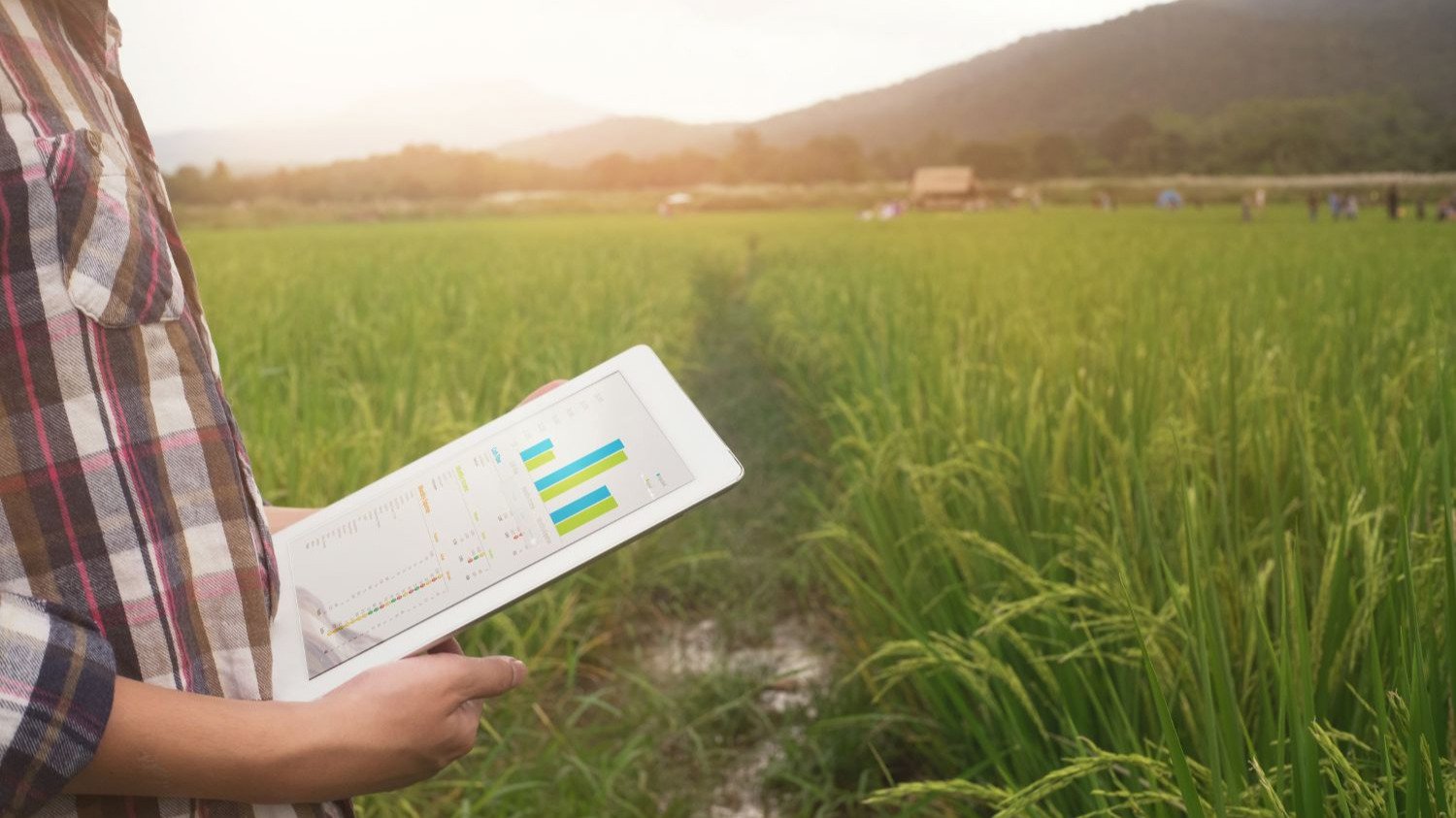 MARKETING Y COMERCIALIZACIÓN DE PRODUCTOS AGROINDUSTRIALES