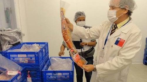 INSPECCIÓN SANITARIA DE ESTABLECIMIENTOS EXPENDEDORES DE ALIMENTOS POR LAS MUNICIPALIDADES
