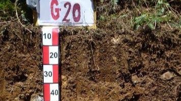 LEVANTAMIENTO DE SUELOS SEGÚN SU CAPACIDAD DE USO MAYOR