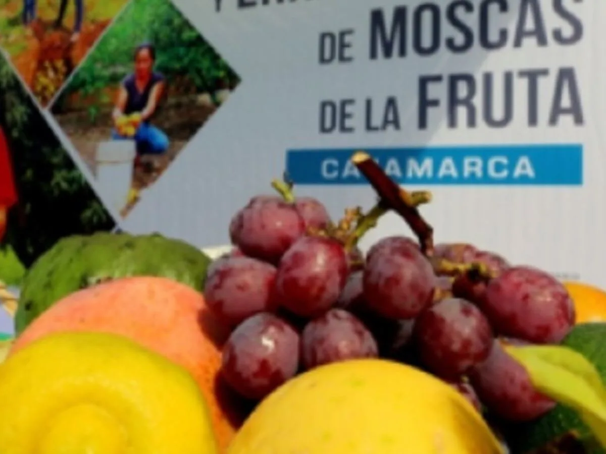 CONTROL DE LA MOSCA DE LA FRUTA PARA PRODUCTOS DE AGROEXPORTACIÓN
