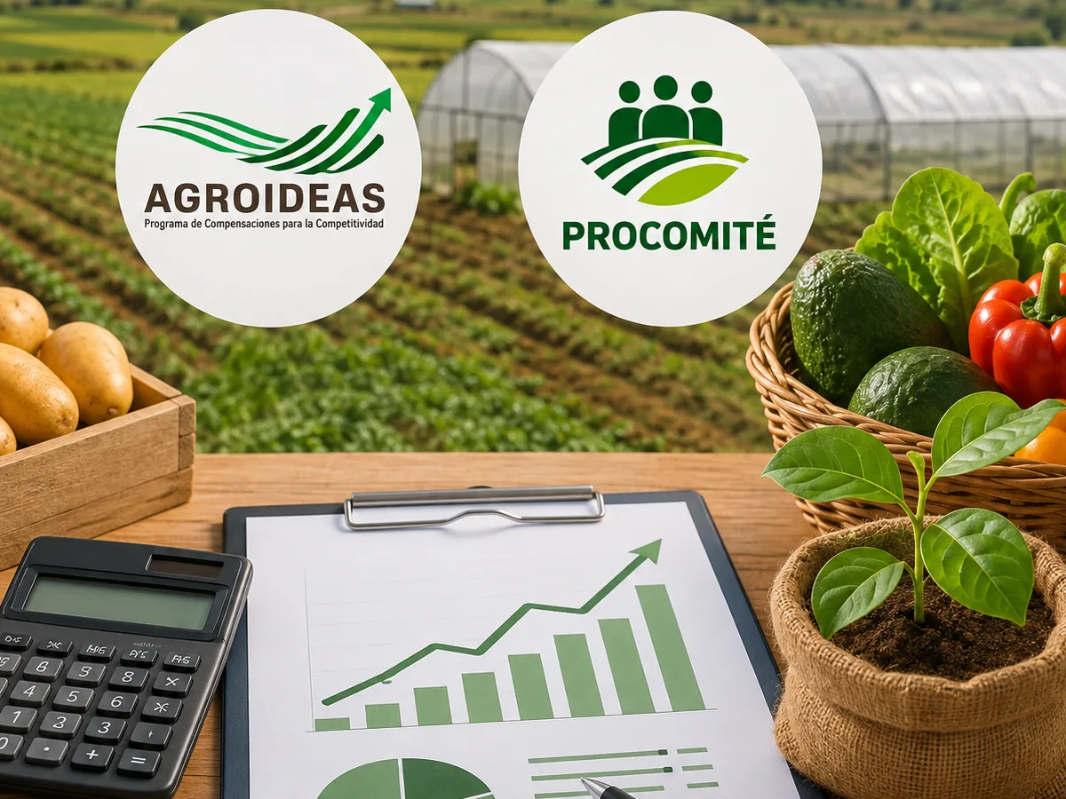 FORMULACIÓN DE PLAN DE NEGOCIOS EN EL MARCO DE AGROIDEAS Y PROCOMITE