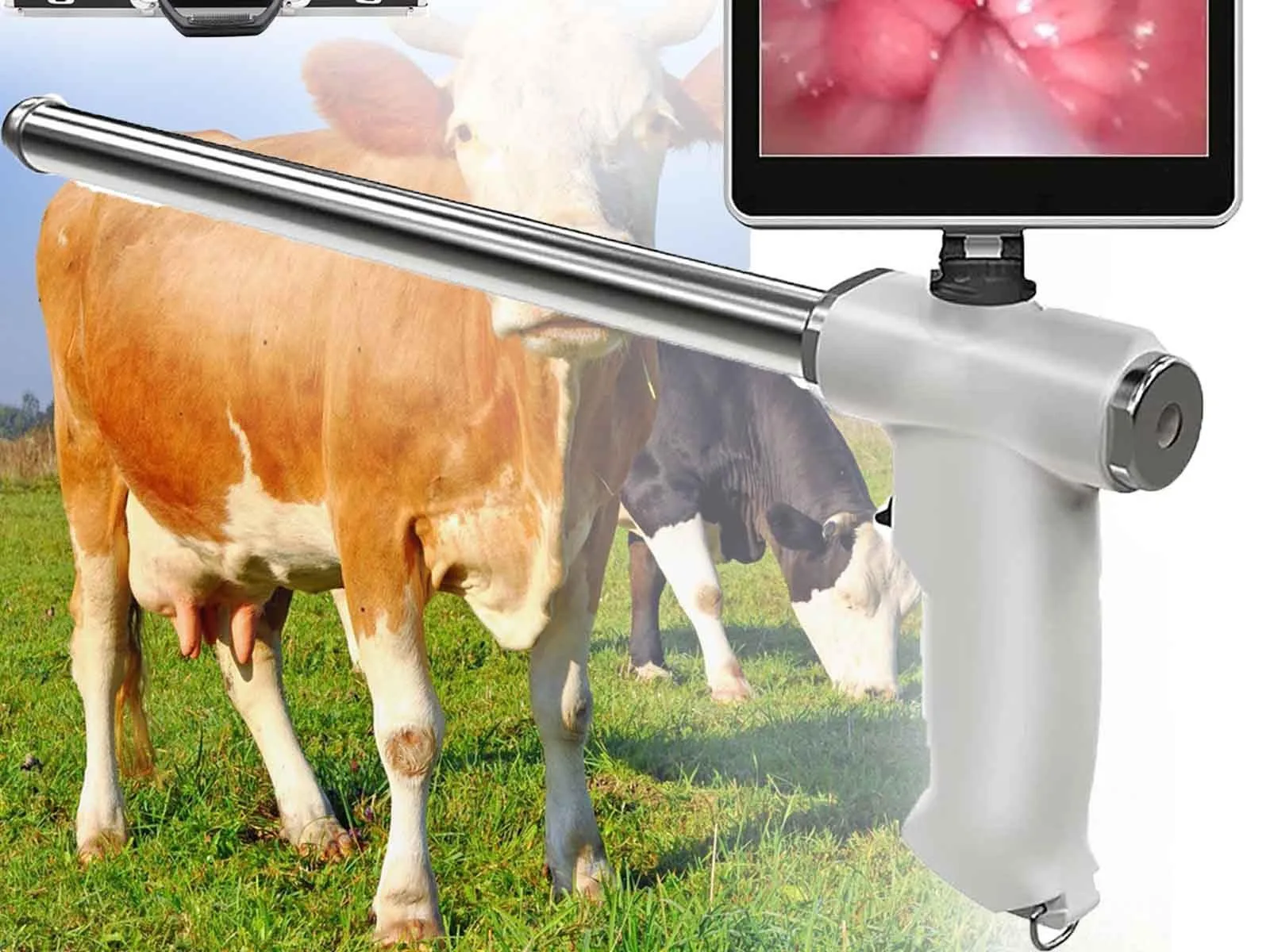 INSEMINACIÓN ARTIFICIAL EN GANADO VACUNO